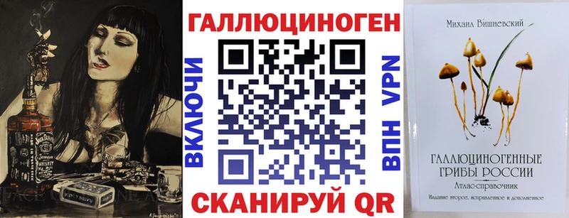 Галлюциногенные грибы Psilocybine cubensis  Томари 